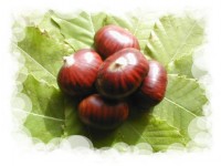Marroni